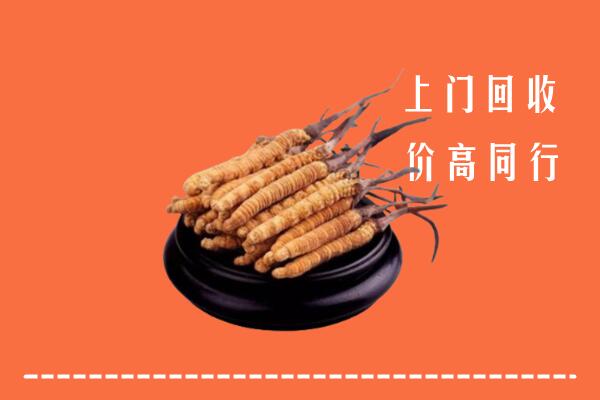 高价求购：修文县回收散虫草