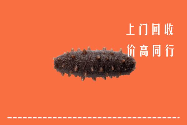 高价求购：修文县回收海参