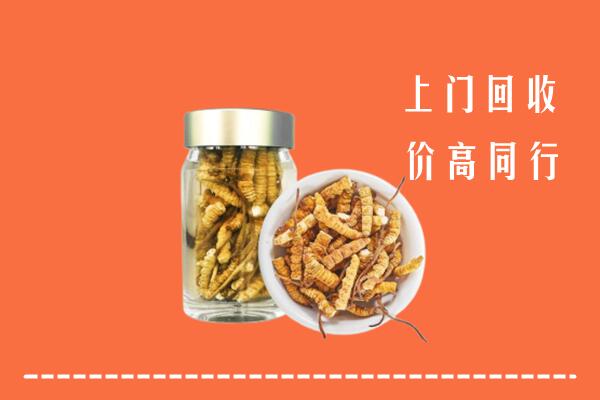 修文县回收冬虫夏草