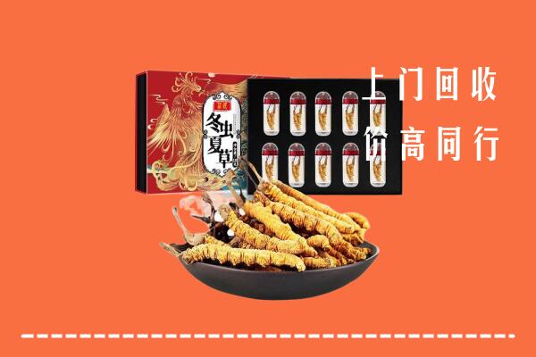 修文县回收虫草